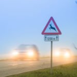 AdobeStock_74106982-1600x1600 (1)